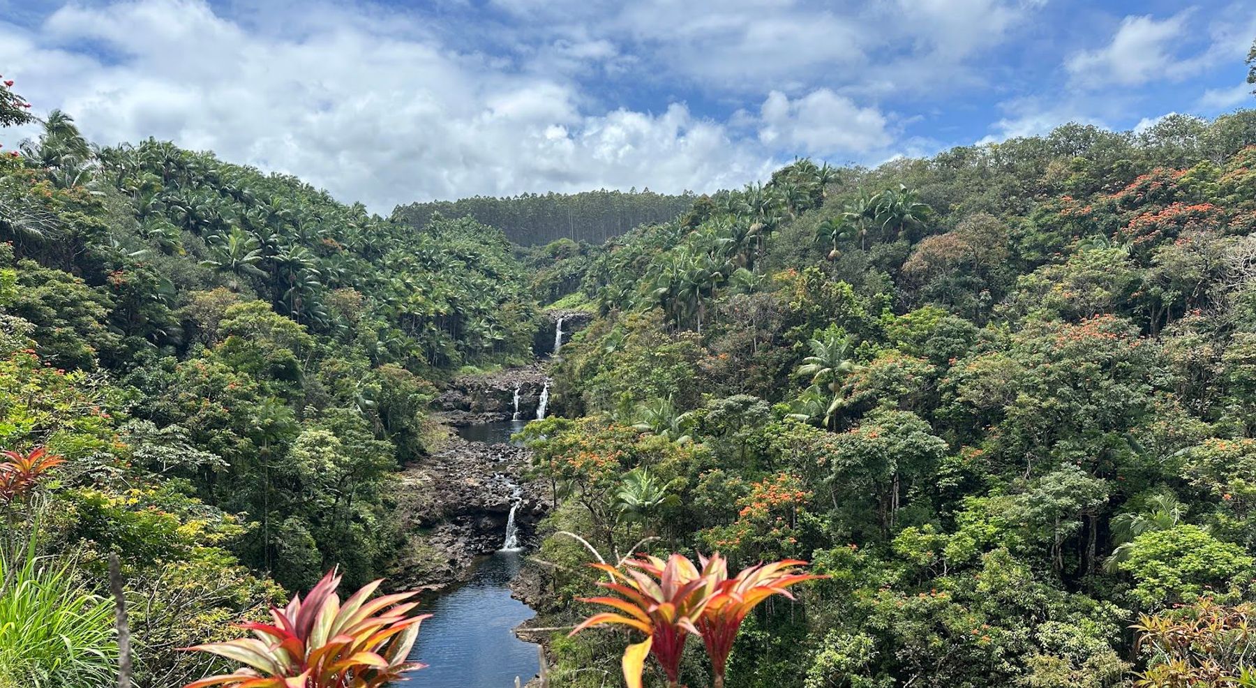 Umauma Falls near Hilo