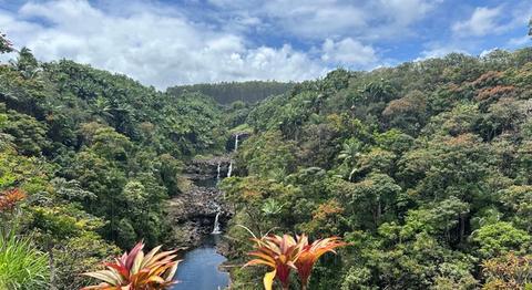 Umauma Falls near Hilo