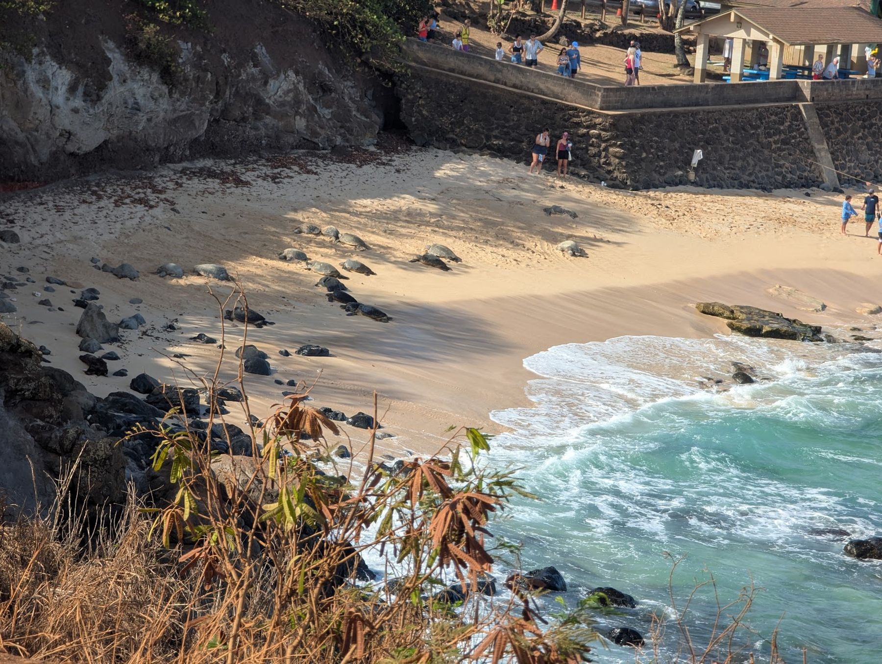 Photo 5 of Ho'okipa Beach View Lookout in Pāʻia, Maui