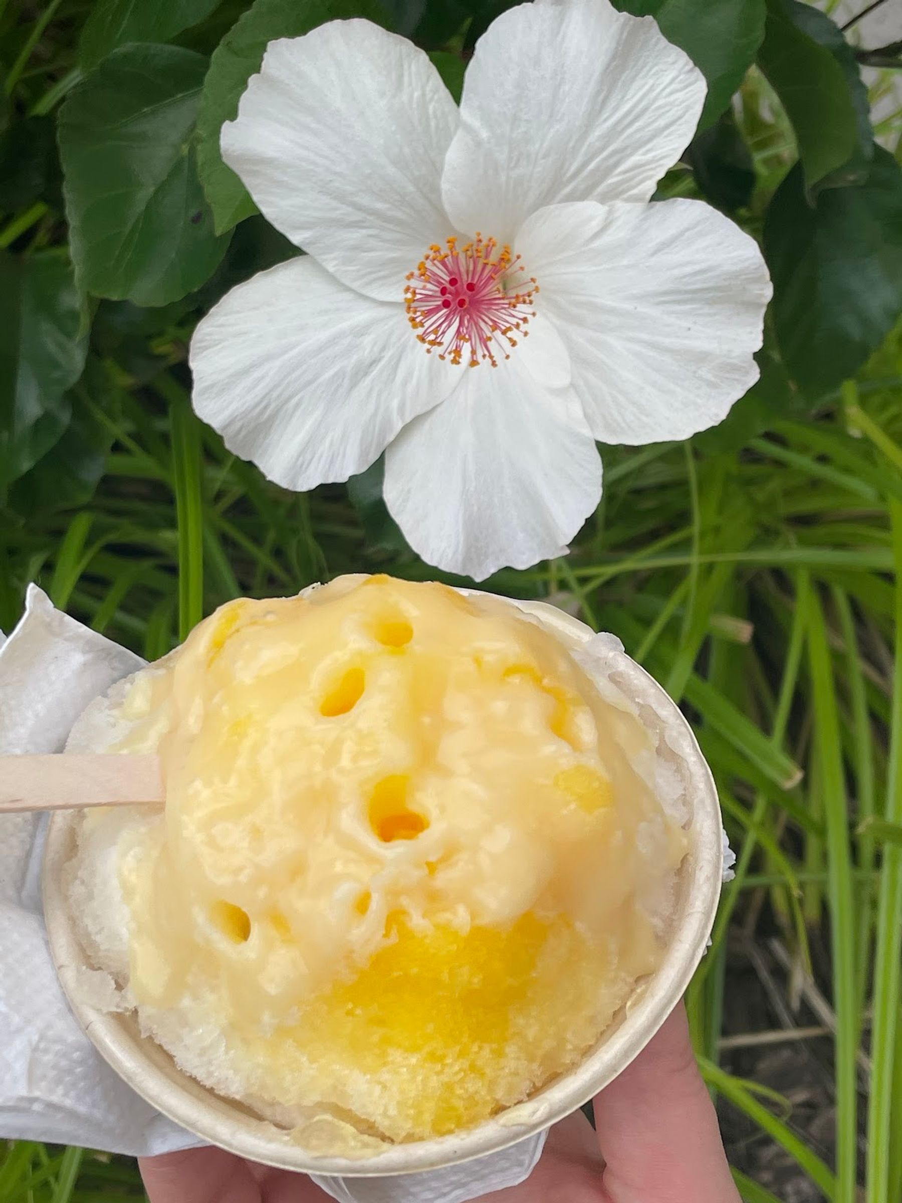 Photo 5 of Big Wave Shave Ice Company - Nanea in Kāʻanapali, Maui