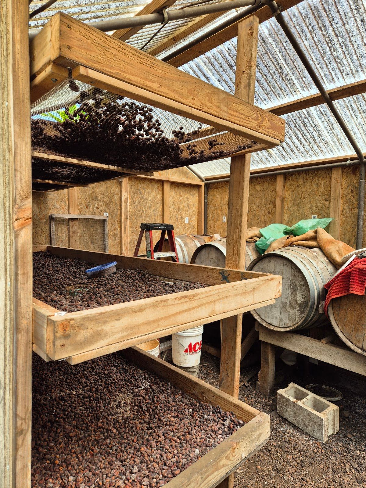 Photo 6 of Puna Chocolate Company Farm - Kona Cocoa & Coffee Orchard Tours (by reservation only) in South Kona, Big Island