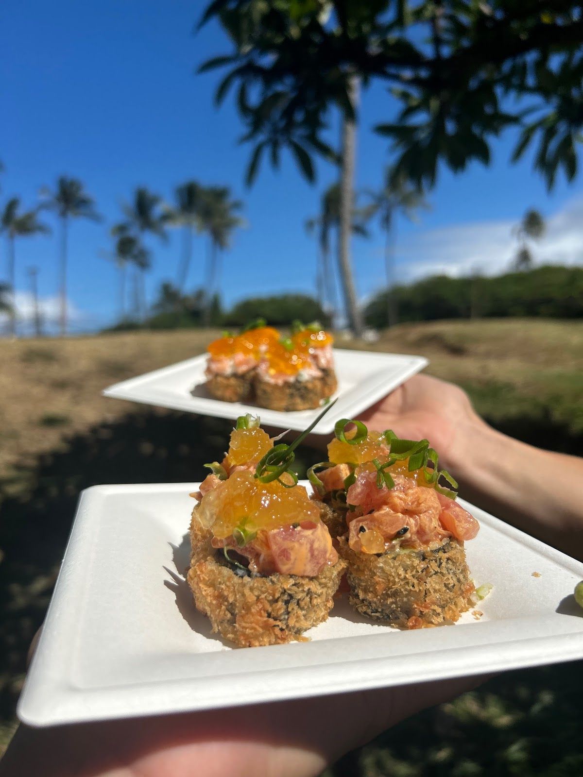 Photo 8 of Babadi Sushi in Kahuku & Turtle Bay, Oahu