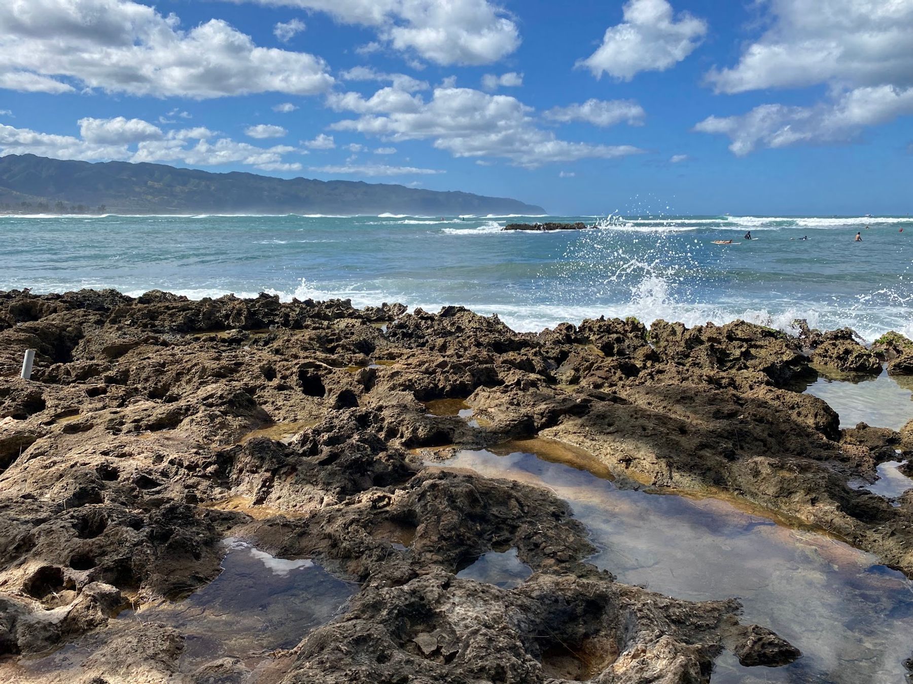Photo 8 of Puaʻena Point Beach Park in Haleʻiwa, Oahu