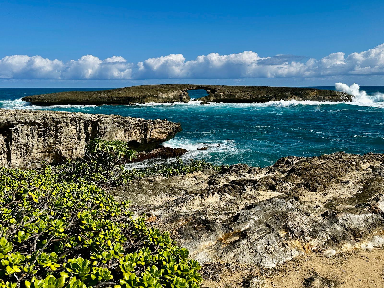 Photo 1 of Lāʻie Point State Wayside in Lāʻie, Oahu