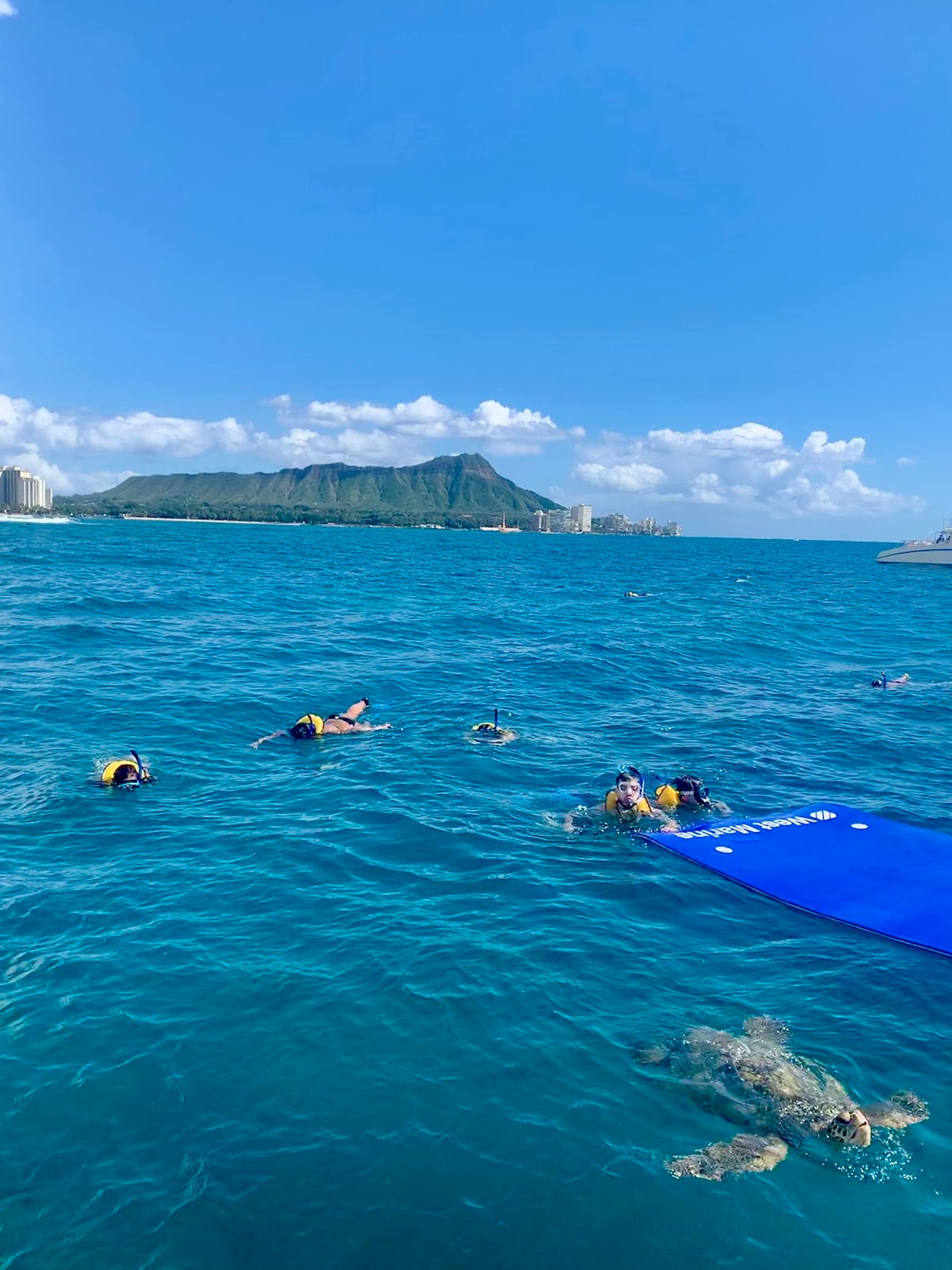 Photo 6 of Living Ocean Tours in Ala Moana & Mōʻiliʻili, Oahu