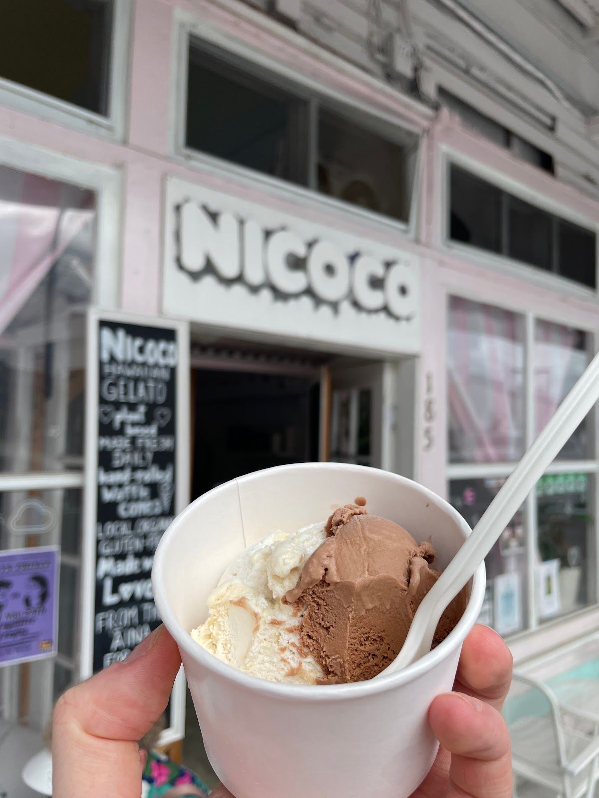 Photo 5 of Nicoco Hawaiian Gelato in Hilo, Big Island
