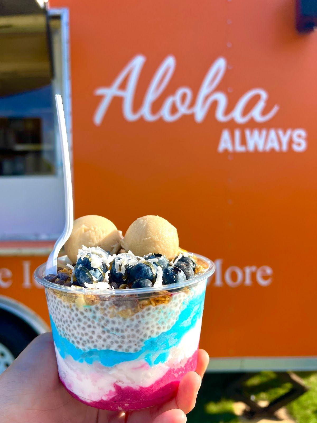 Photo 3 of Aloha Always - Kapaa in Wailua, Kauai