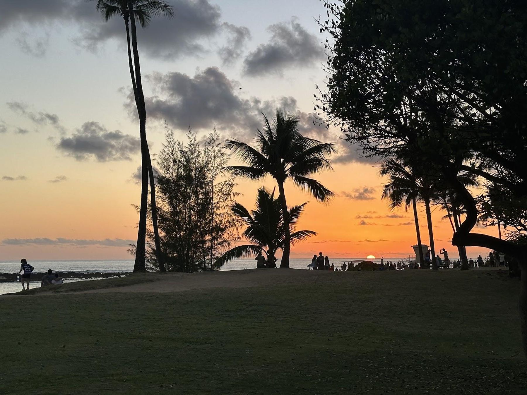 Brennecke's Beach Broiler restaurant in Poʻipū, Kaua‘i photo 5
