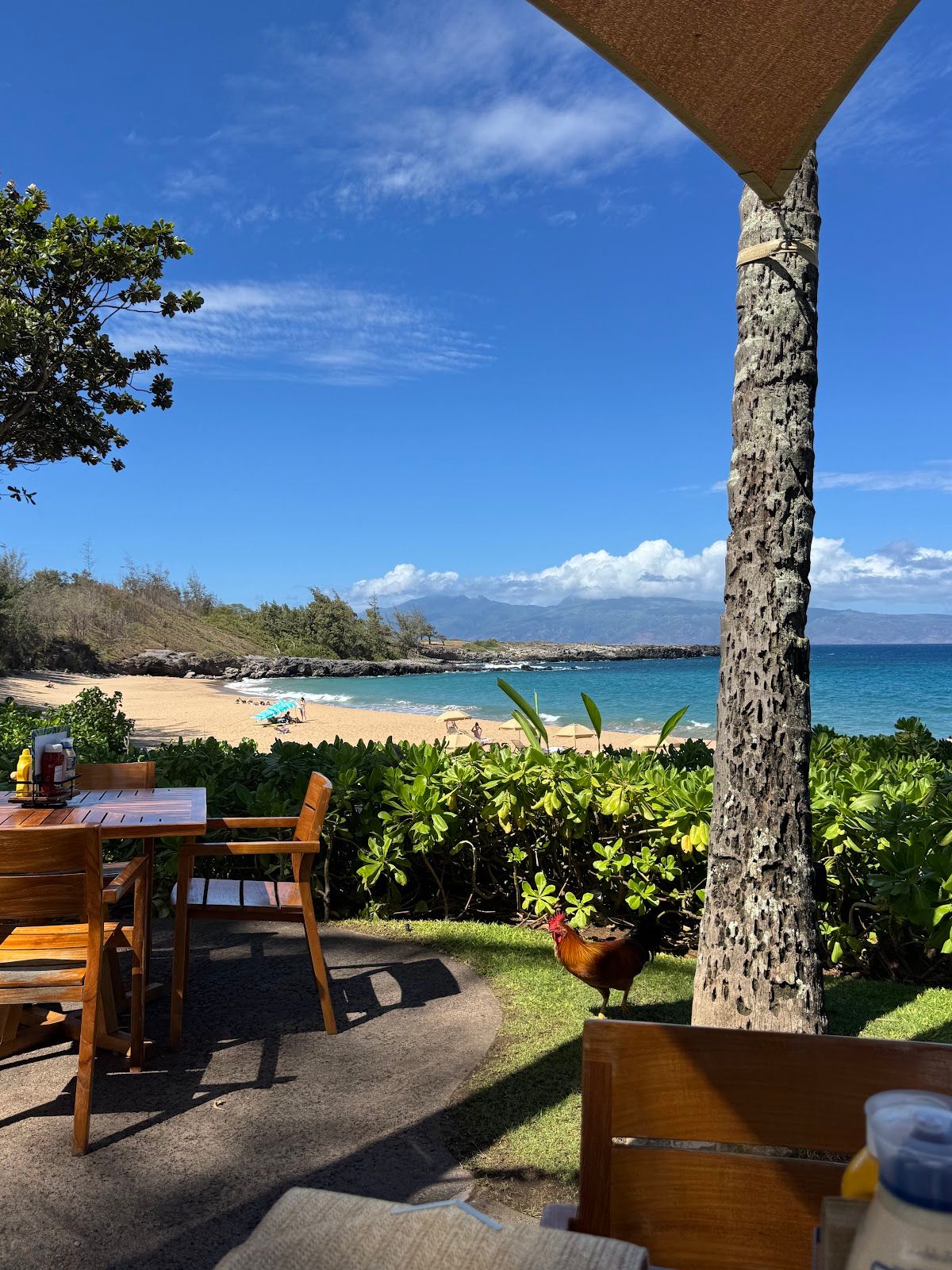 Photo 7 of Burger Shack in Kapalua, Maui