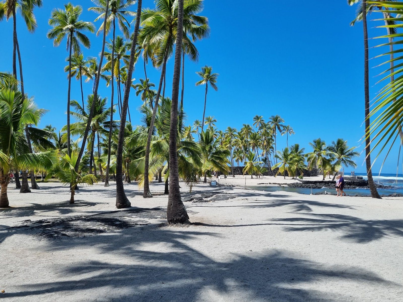 Photo 6 of Pu'uhonua O Honaunau National Historical Park in South Kona, Big Island