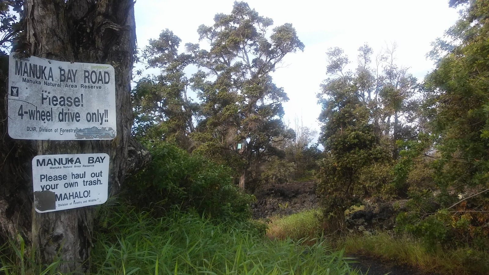 Photo 7 of Manuka State Wayside in South Point, Big Island