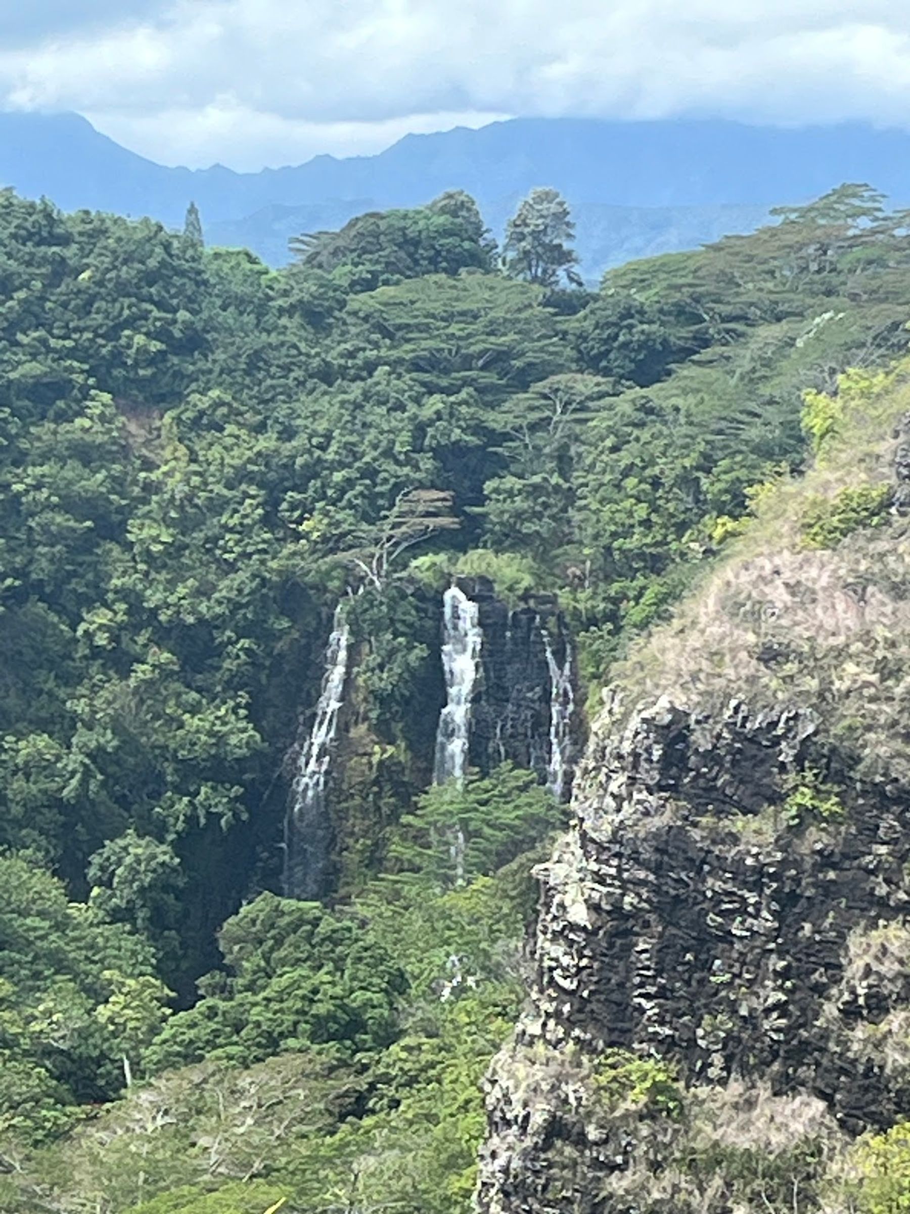 Photo 4 of Clark's Hawaii Tours in Kailua-Kona, Big Island