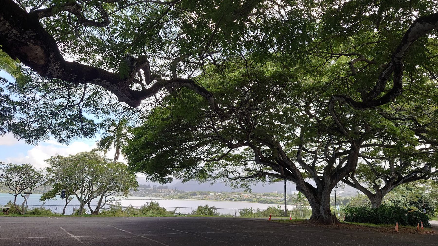Photo 9 of Heʻeia State Park in Kāneʻohe, Oahu
