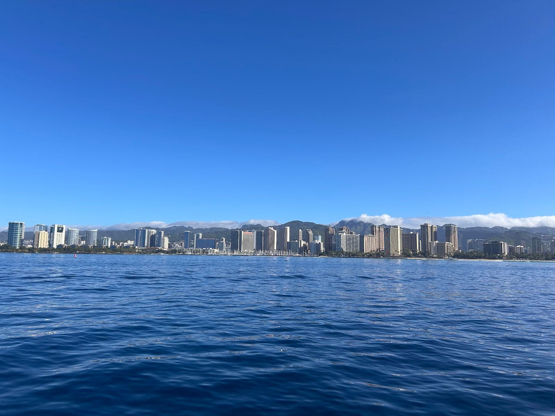Photo 10 of Dolphins and You in Waikīkī, Oahu