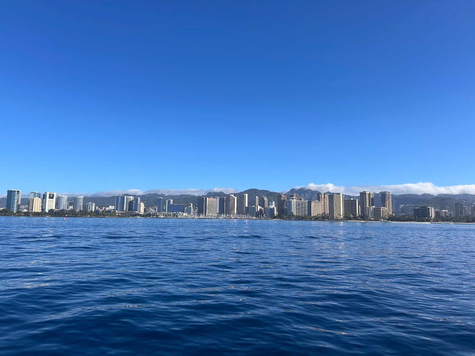 Photo 10 of Dolphins and You in Waikīkī, Oahu