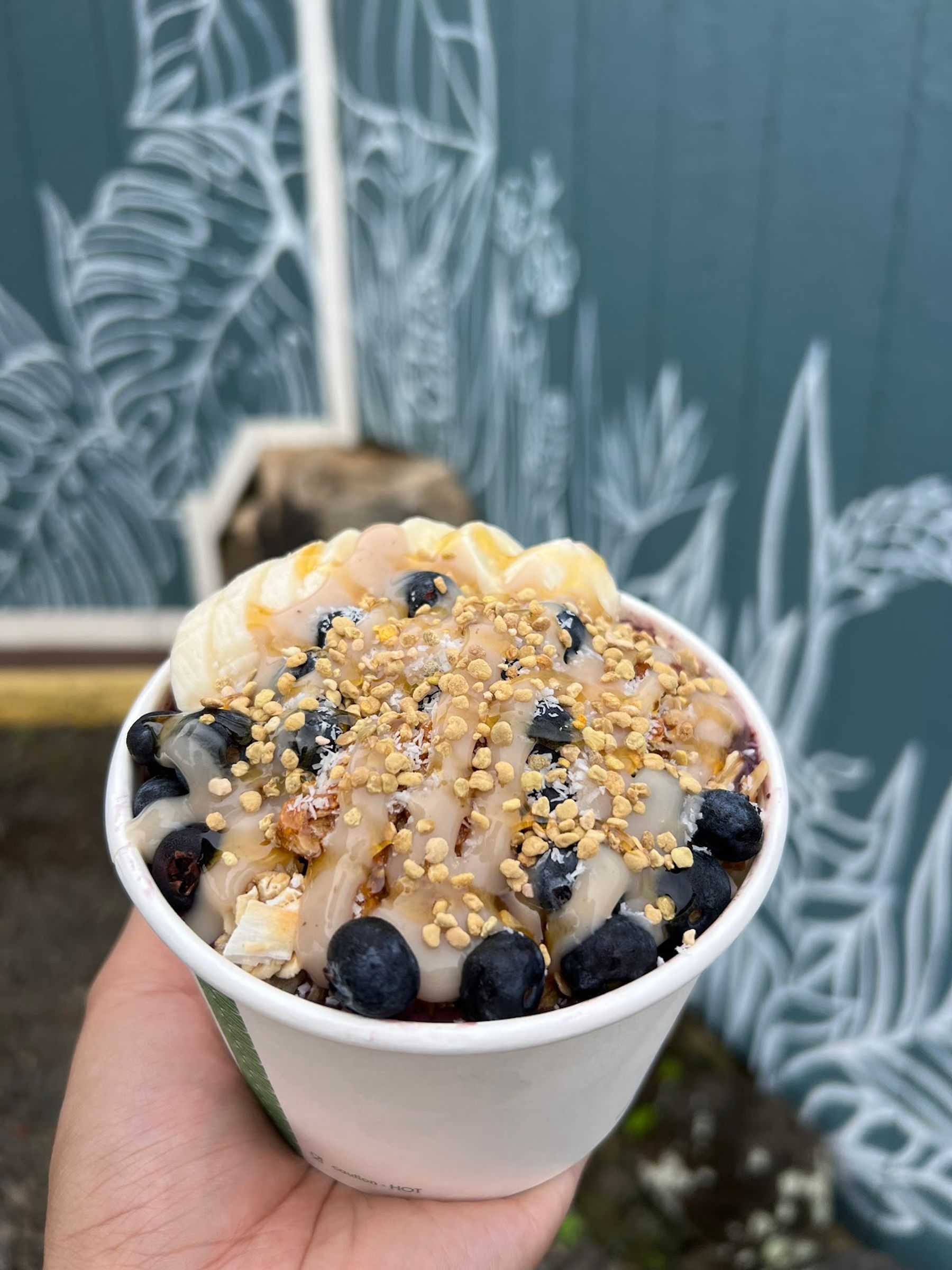 Photo 2 of The Granola House in Līhuʻe, Kauai