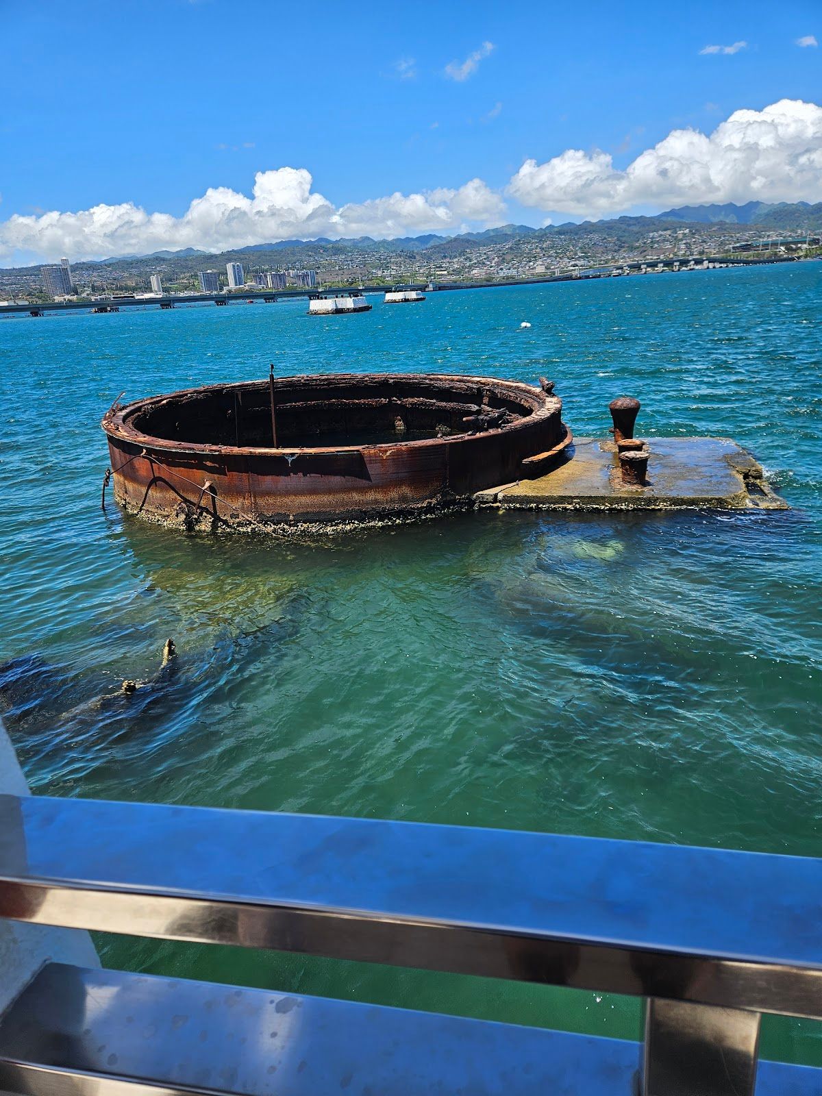 Photo 4 of Roberts Hawaii in Waikīkī, Oahu