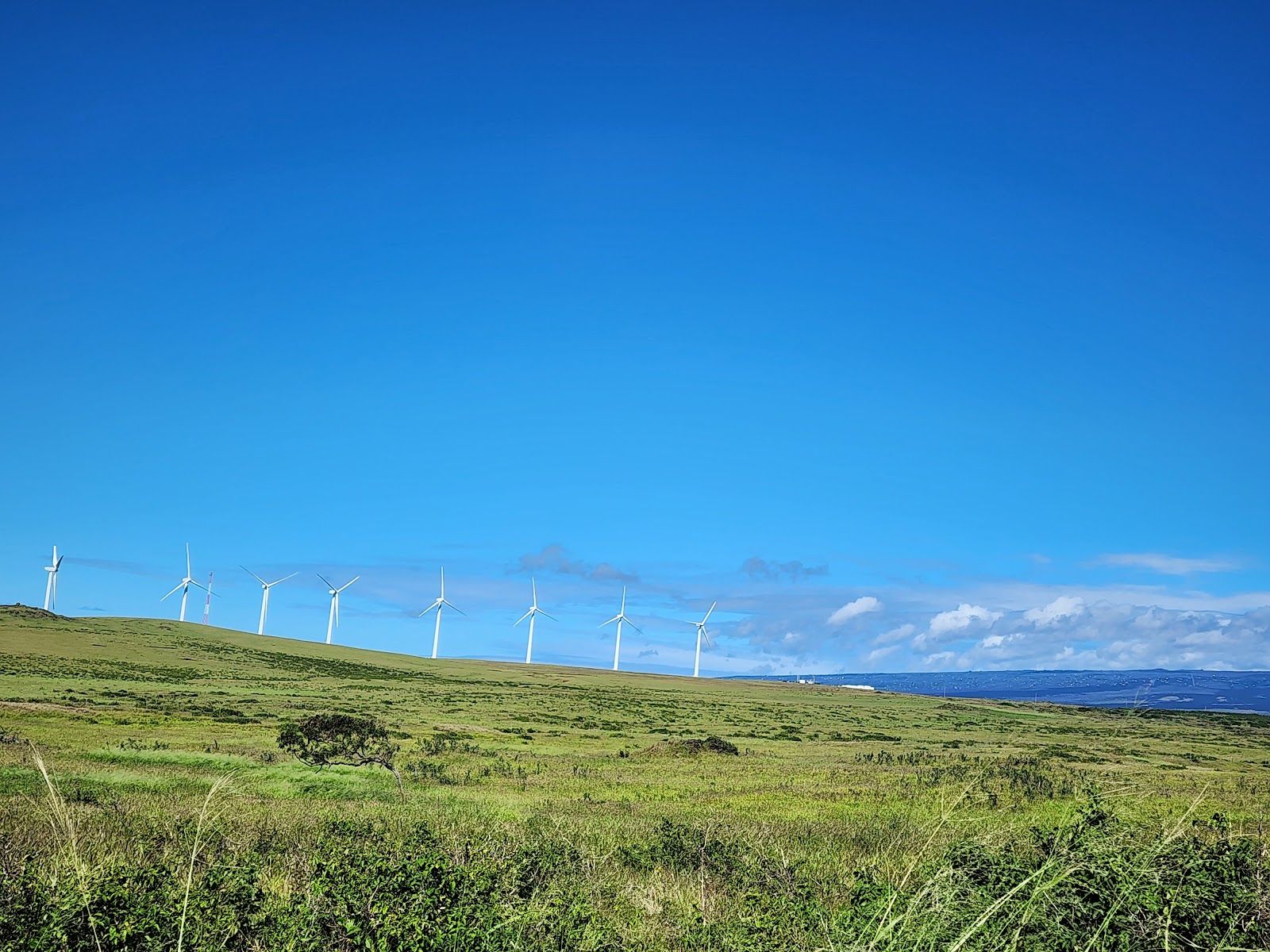 Photo 3 of South Point Park in South Point, Big Island