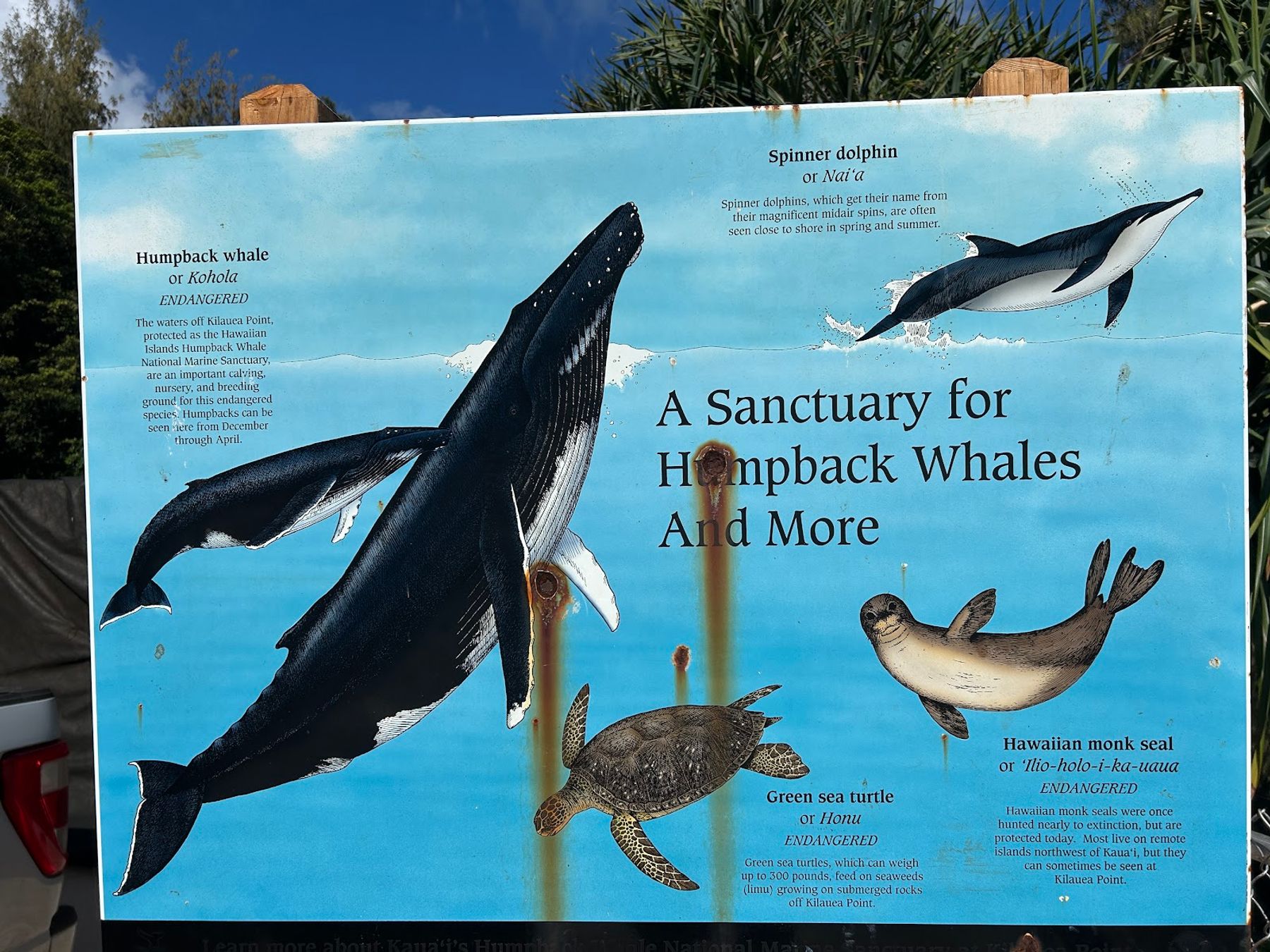 Kilauea Point National Wildlife Refuge in Kīlauea, Kaua‘i photo 6