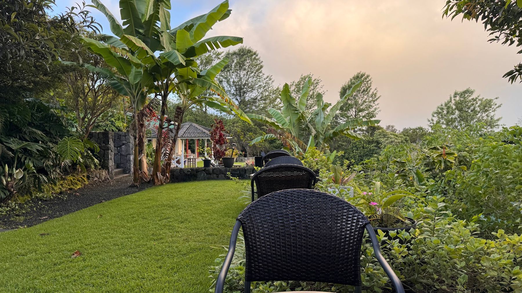Photo 9 of Mango Sunset BnB Inn at Lyman Kona Coffee Farms in Hōlualoa, Big-island
