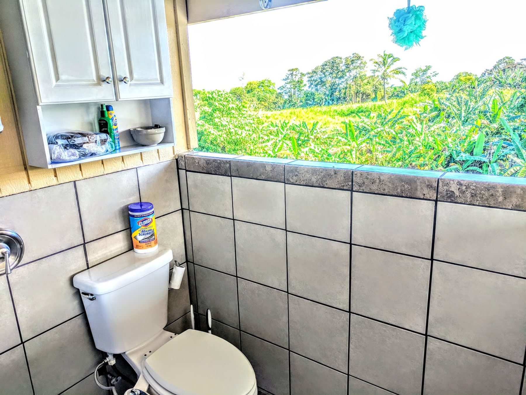 Photo 3 of Hāmākua Guesthouse in Greater Hilo, Big-island