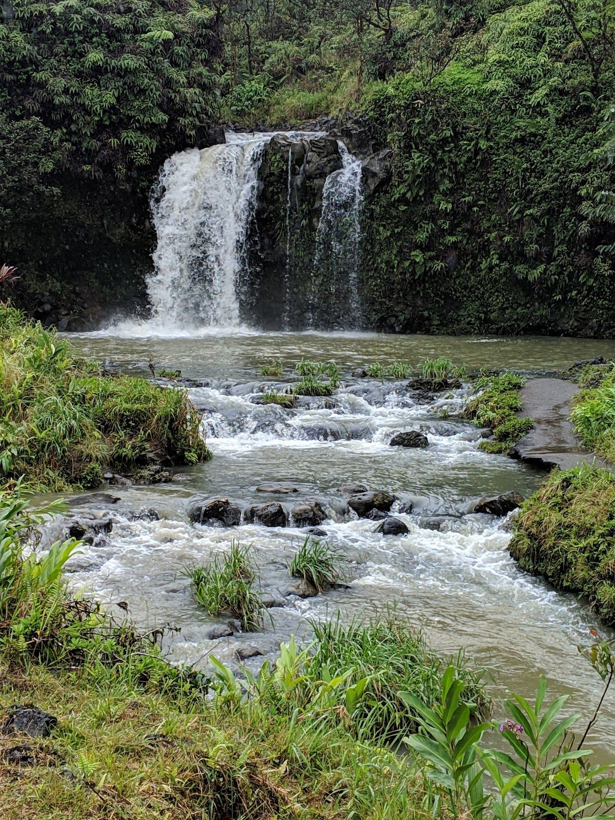 Photo 8 of Makapipi Falls in Keʻanae-Nāhiku, Maui
