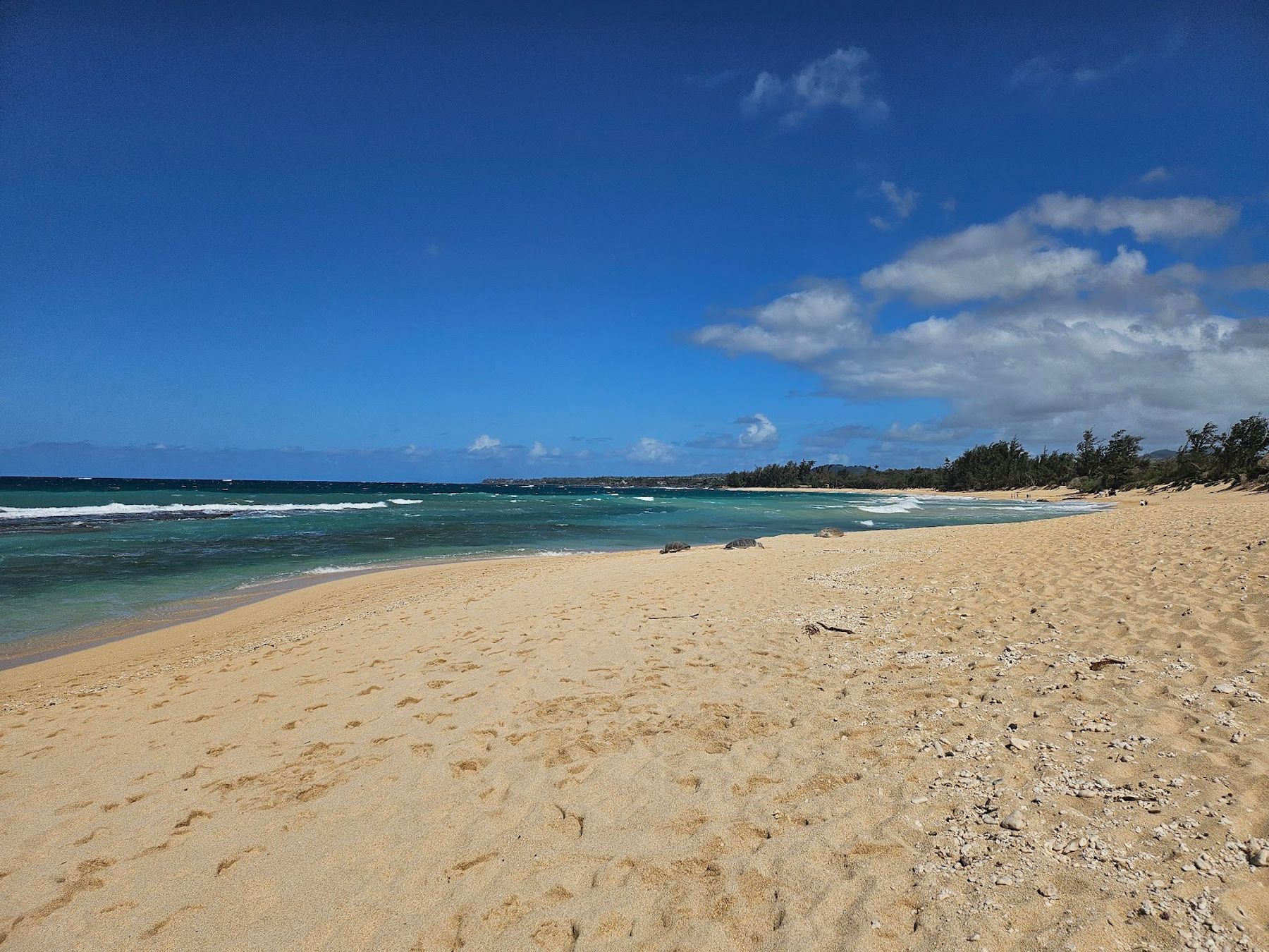 Photo 8 of Baby Beach, Sprecklesville Area in Pāʻia, Maui