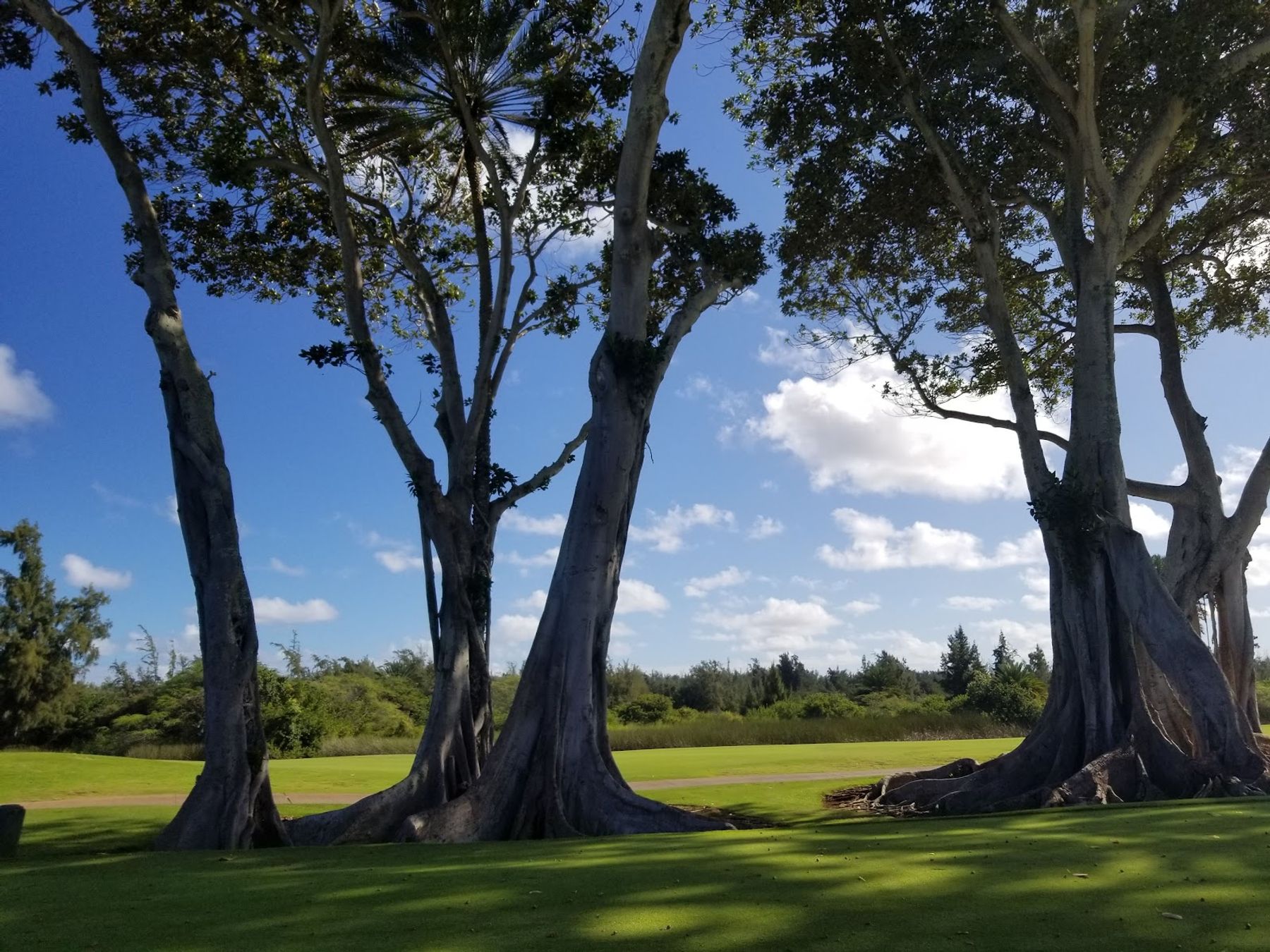 Photo 9 of Turtle Bay Golf in Kahuku & Turtle Bay, Oahu