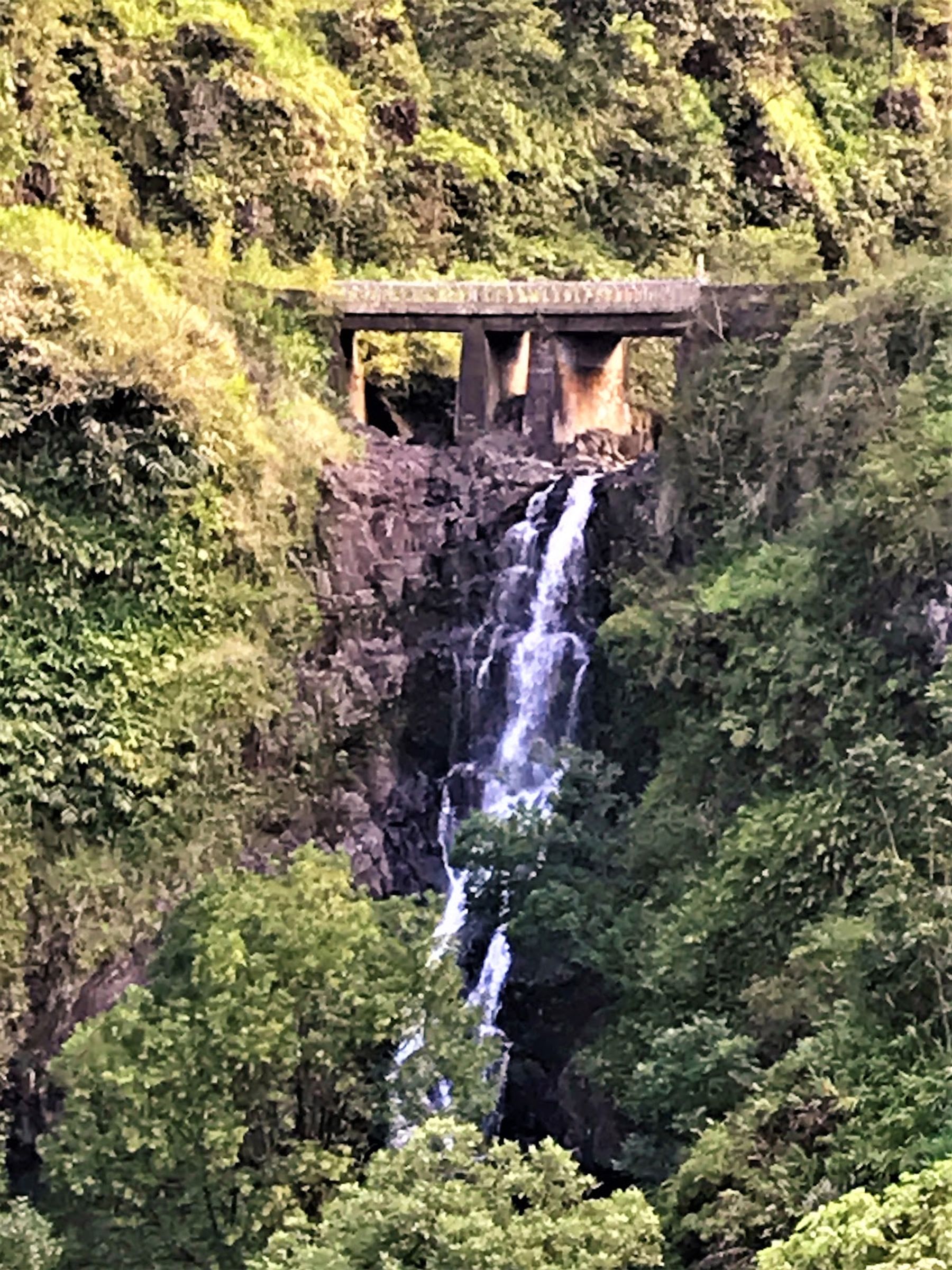 Photo 2 of Makapipi Falls in Keʻanae-Nāhiku, Maui
