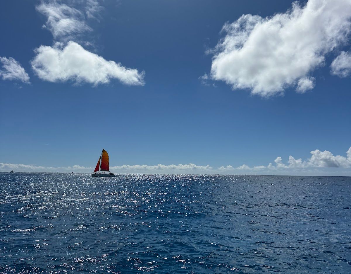 Photo 8 of Island Splash Tours in Waikīkī, Oahu