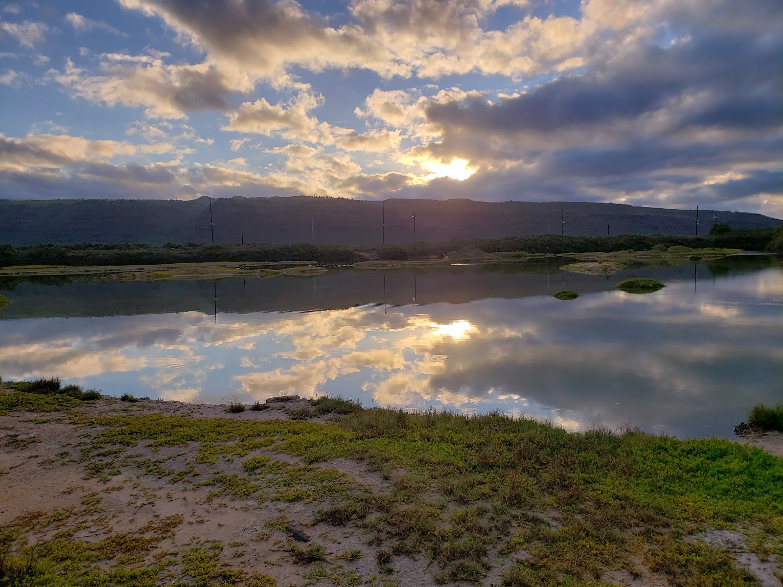 Kawaiʻele Waterbird Sanctuary in Kekaha, Kaua‘i photo 7