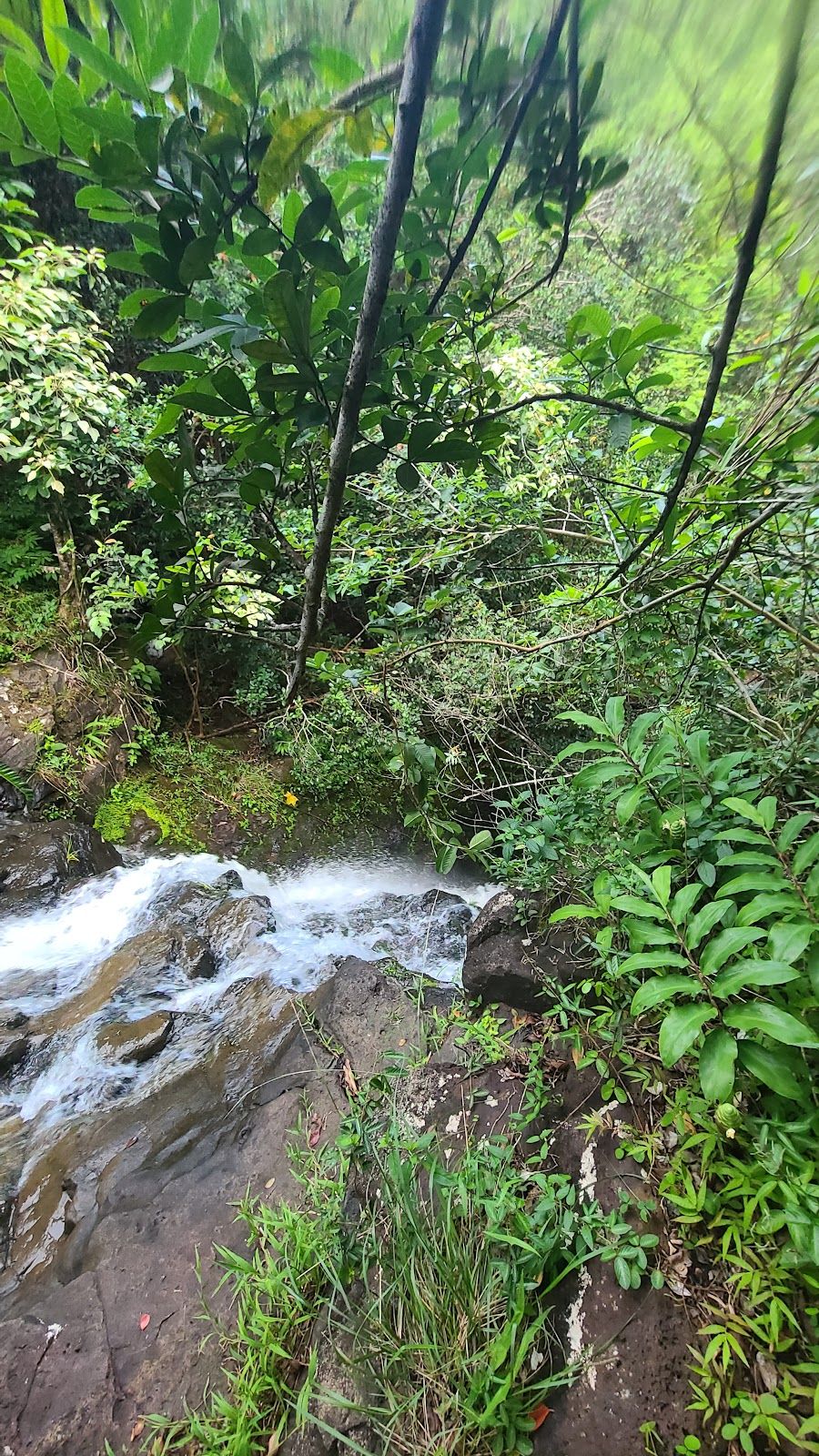 Photo 7 of Waimano Falls in Pearl City, Oahu