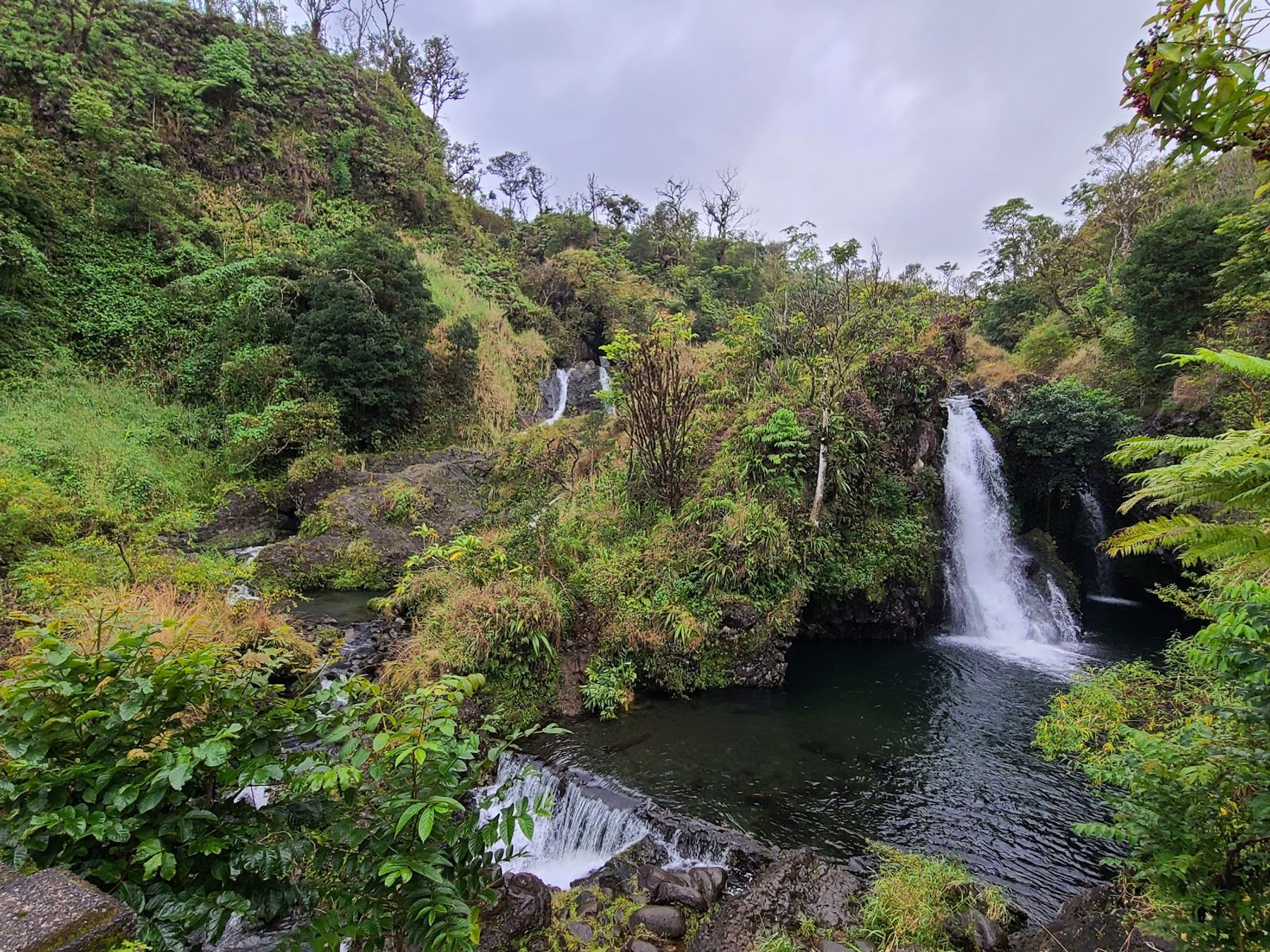 Photo 7 of Wailua Valley Lookout in Keʻanae-Nāhiku, Maui