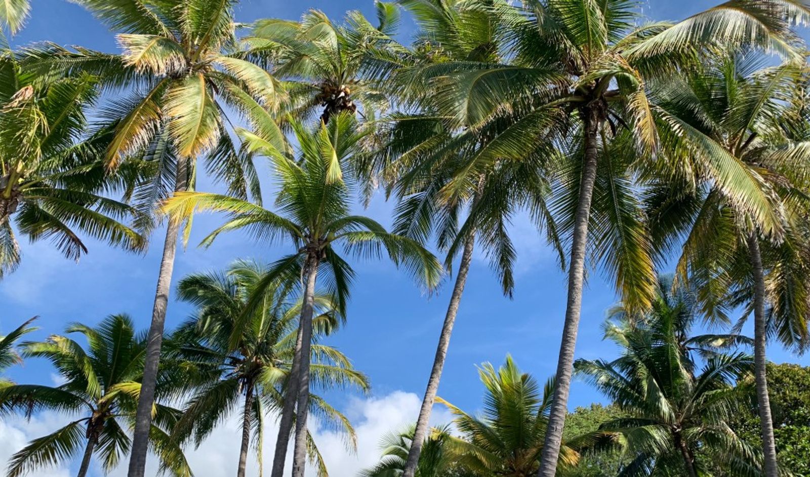 Kid-Friendly Beaches on Kauai (and What to Bring)