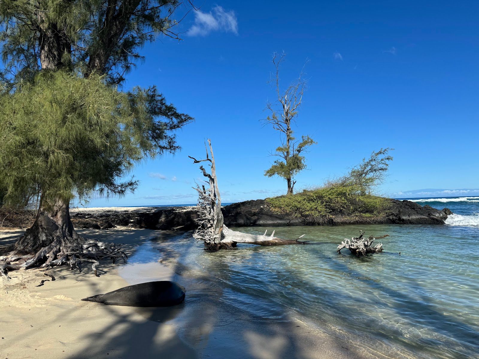 Photo 6 of Makalawena Beach in Kailua-Kona, Big Island