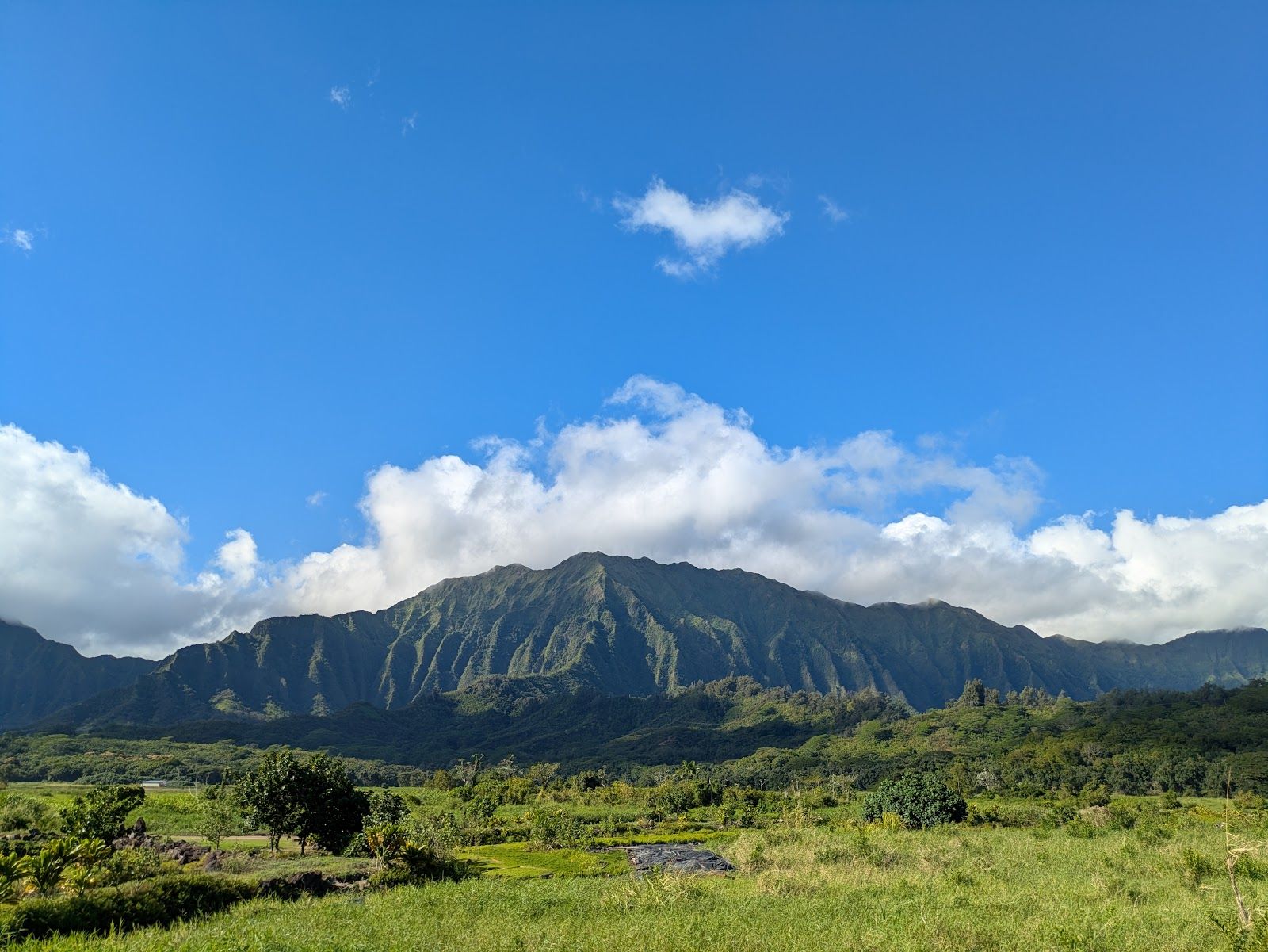 Photo 5 of Heʻeia State Park in Kāneʻohe, Oahu