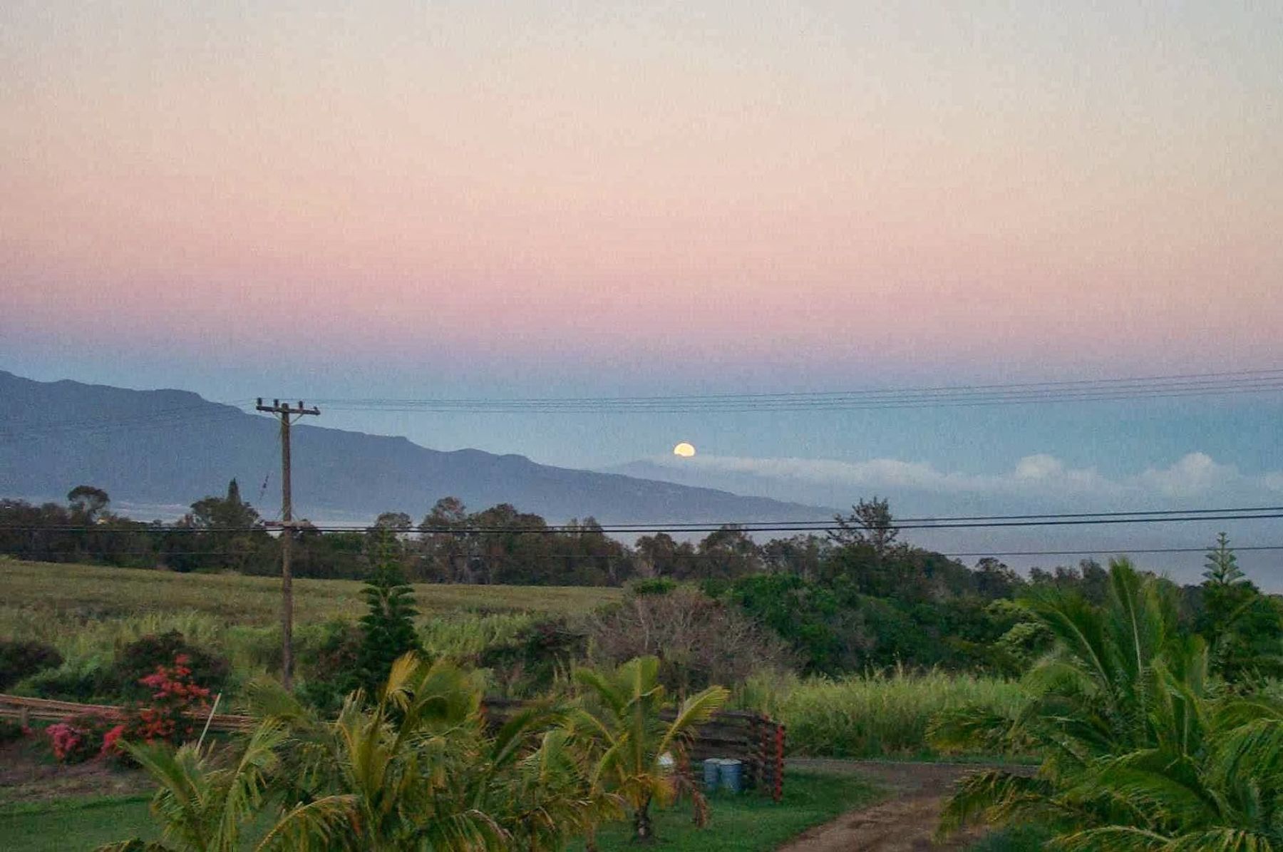 Photo 10 of God's Peace of Maui Bed & Breakfast, LLC in Makawao & Pukalani, Maui