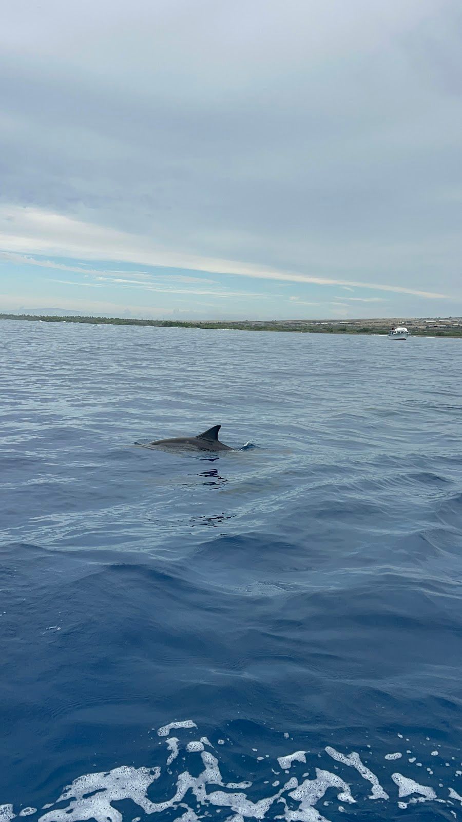 Photo 7 of Ocean Eco Tours in Kailua-Kona, Big Island