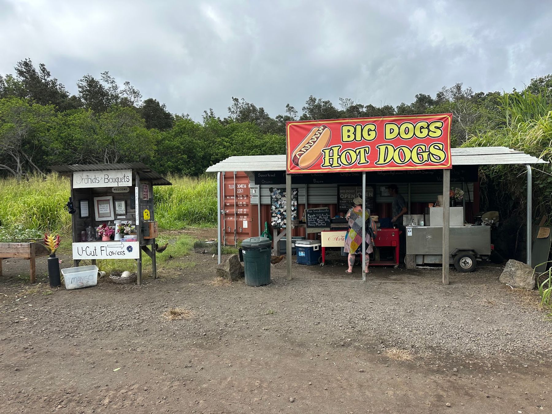 Photo 5 of Big Dogs Hot Dogs in South Point, Big Island