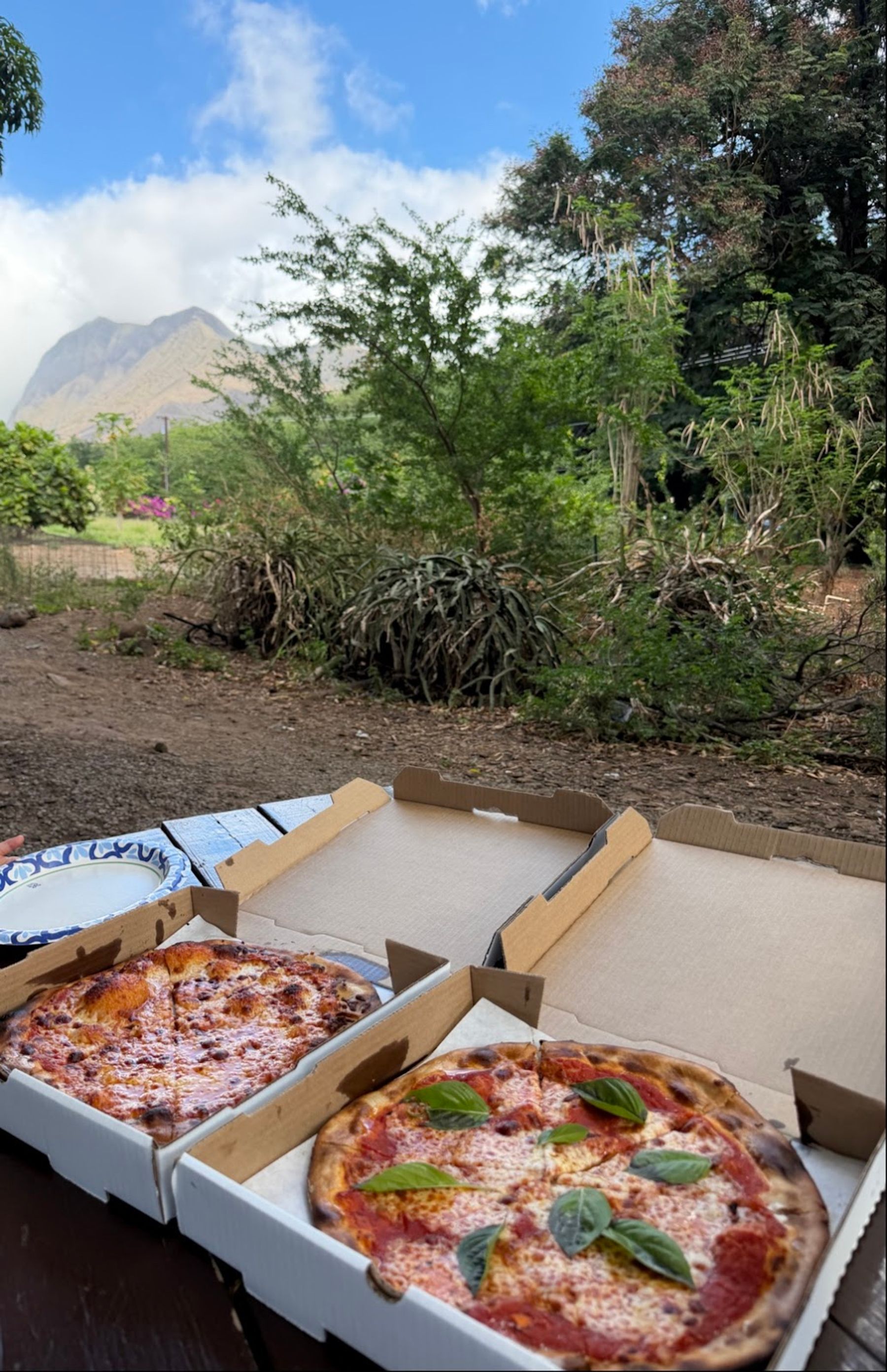Photo 6 of Margarita's Pizzas in Olowalu, Maui