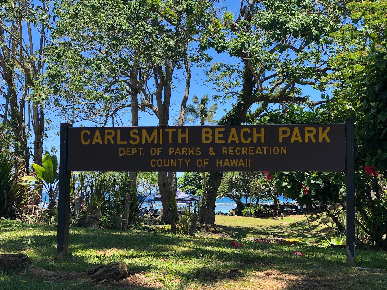 Photo 2 of Carlsmith Beach Park in Hilo, Big Island