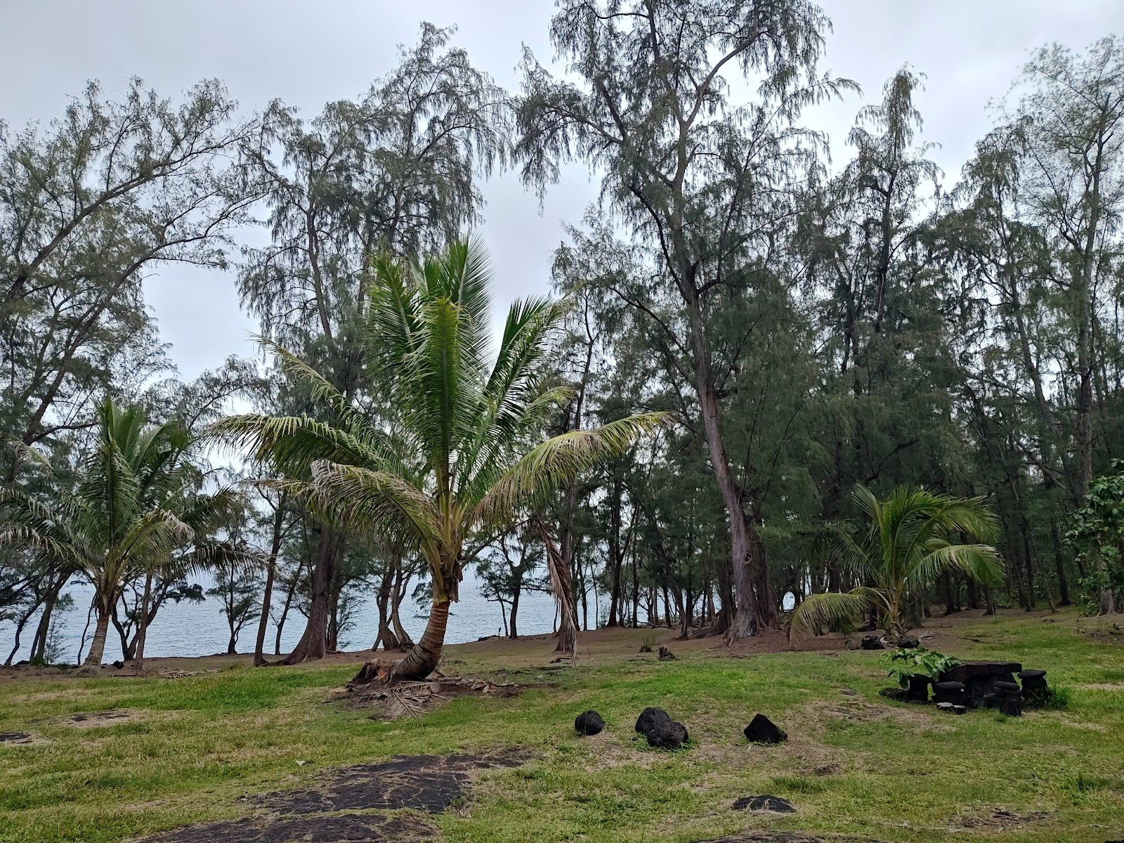 Photo 9 of MacKenzie State Recreation Area in Kalapana, Big Island