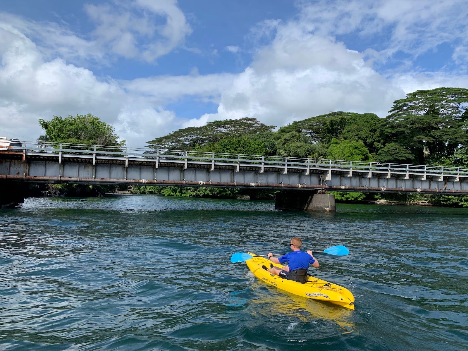 Photo 6 of The Surf Cottage in Hilo, Big Island
