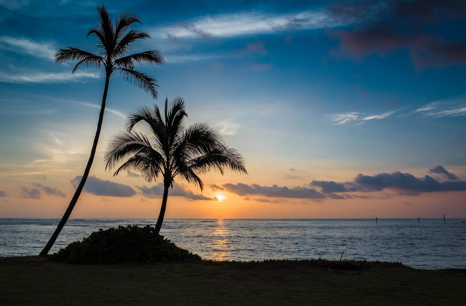 Silhouetted palm trees on a beach at sunrise with orange glow on the horizon and a bright reflection across calm ocean water