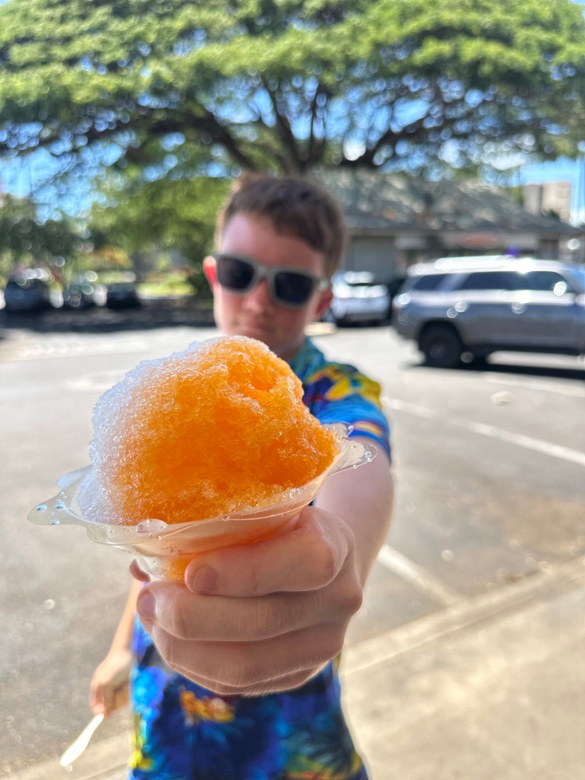 Photo 7 of Shave Ice In Paradise in Kāʻanapali, Maui