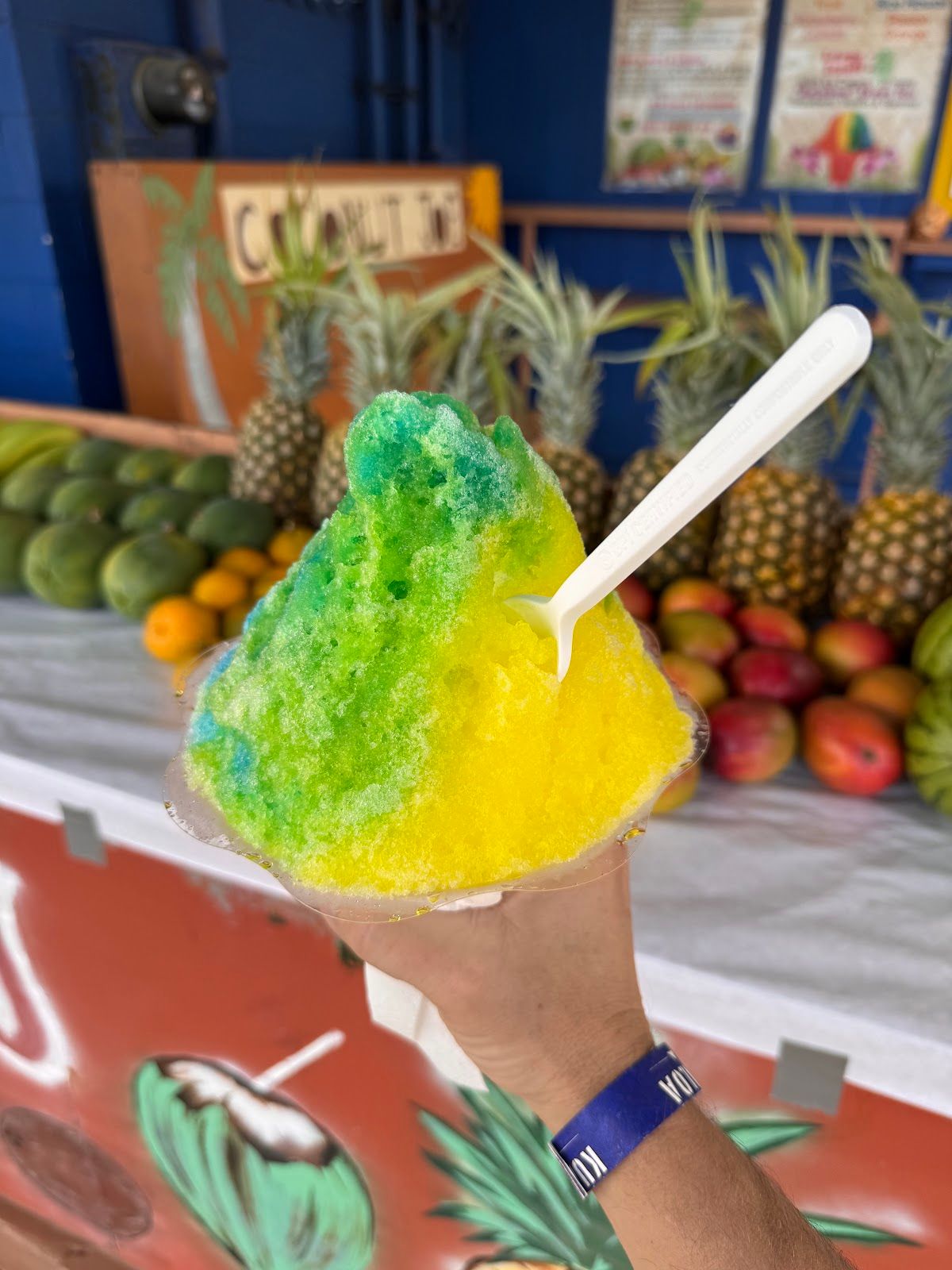Photo 2 of Coconut Joe's in Kualoa & North Windward, Oahu
