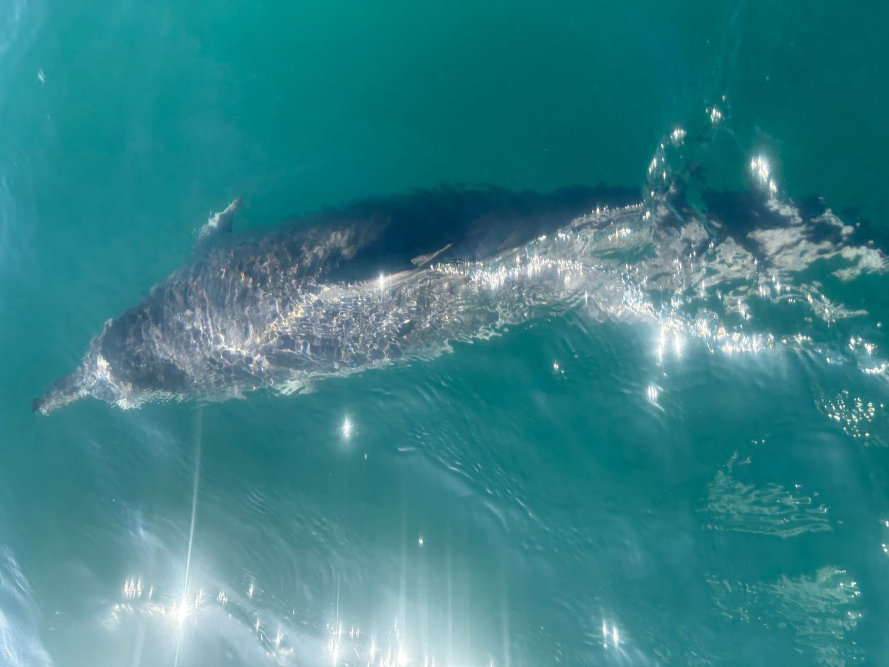 Catamaran Kahanu in Eleele, Kaua‘i photo 4