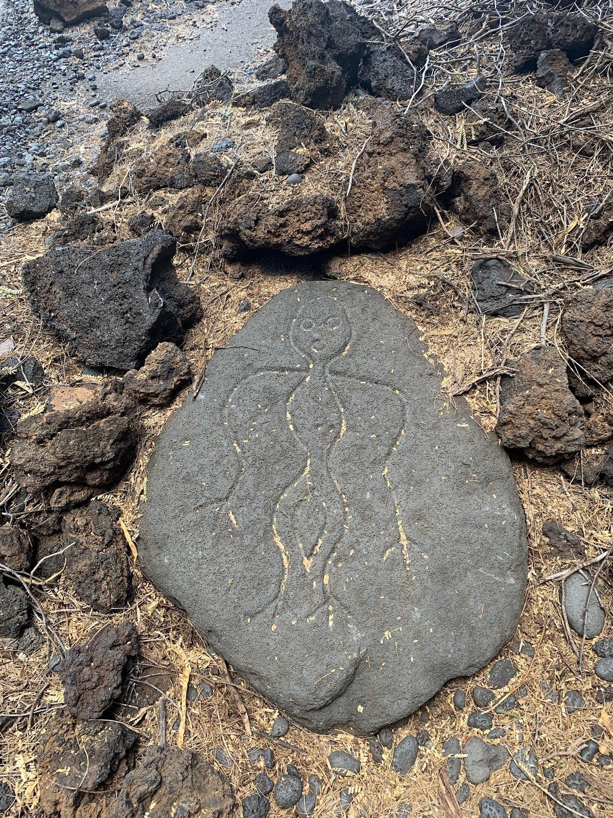 Photo 4 of Puakō Petroglyph Park in Waikoloa, Big Island