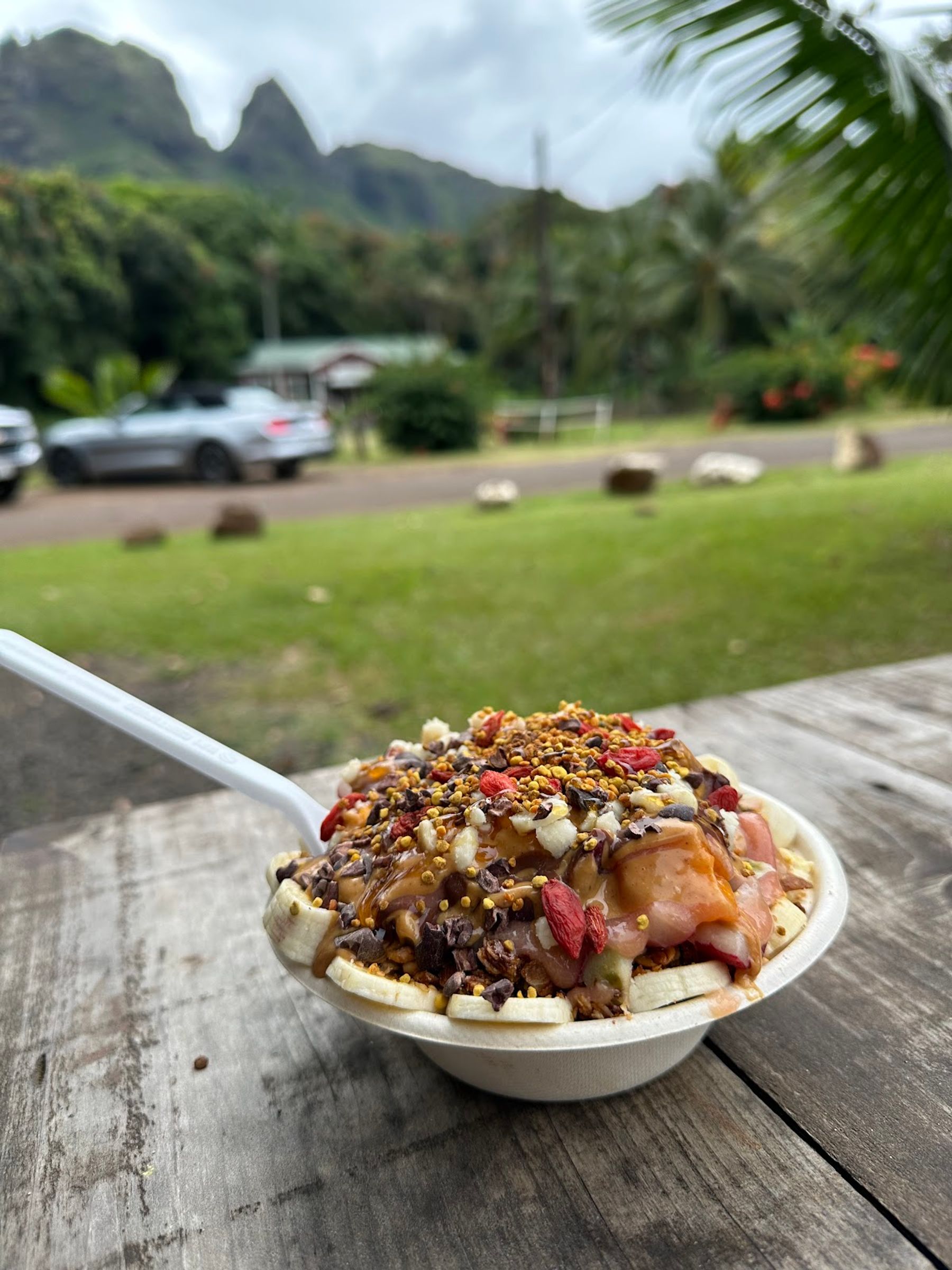 Photo 10 of Kalalea Juice Hale in Anahola, Kauai