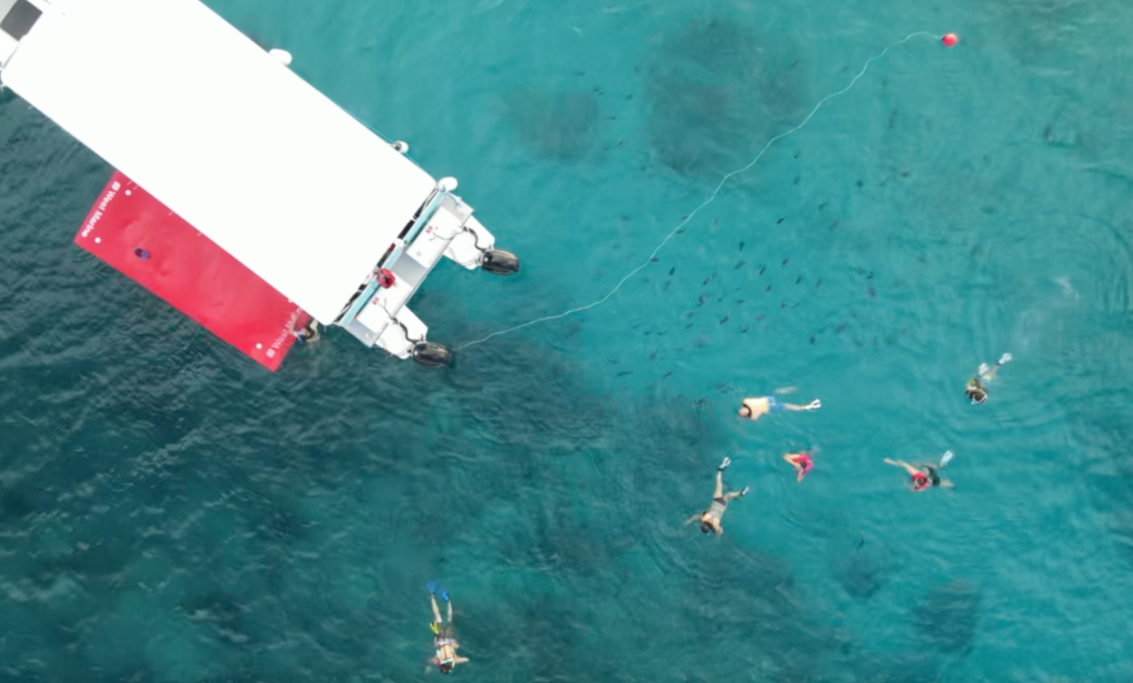Photo 1 of Honolulu Snorkel Company in Ala Moana & Mōʻiliʻili, Oahu